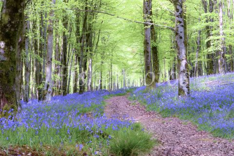 IMG_2948_Final_new-6